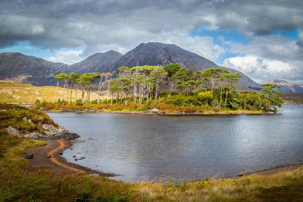 Ocean Villa Country Home Clifden Exteriér fotografie