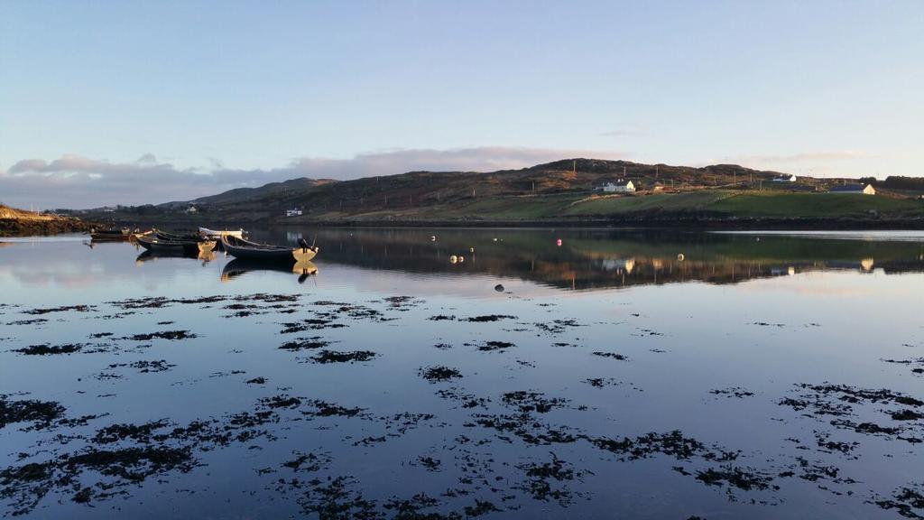 Ocean Villa Country Home Clifden Exteriér fotografie