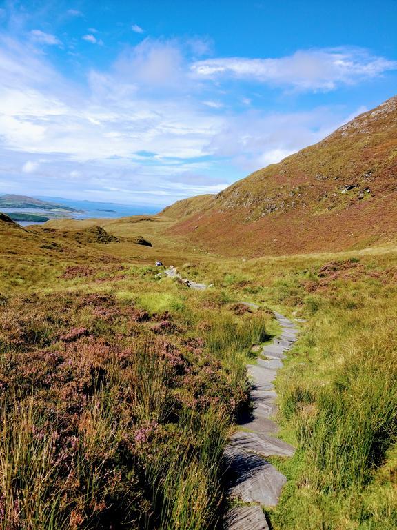 Ocean Villa Country Home Clifden Exteriér fotografie