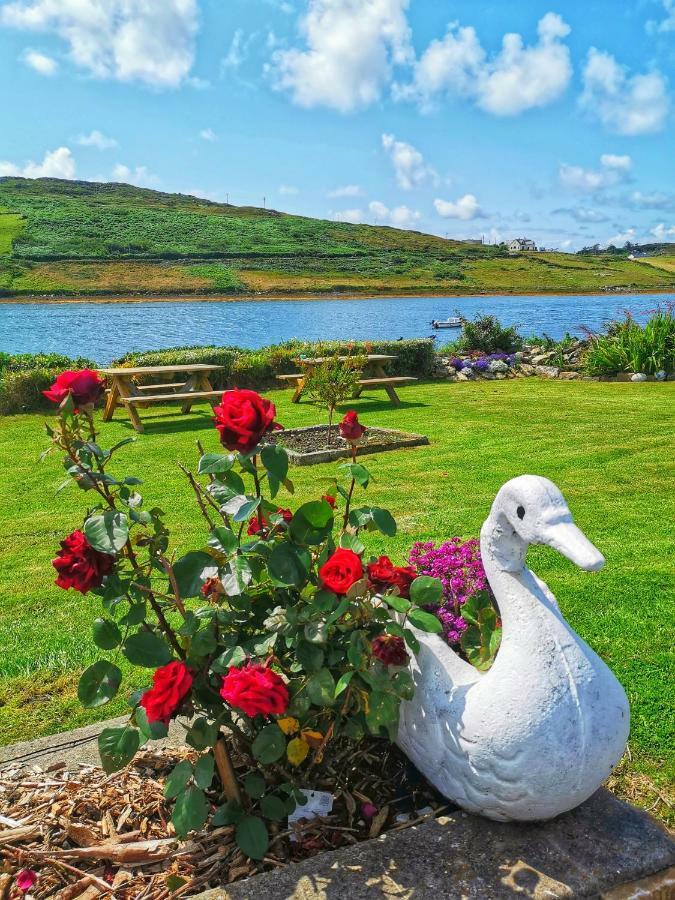 Ocean Villa Country Home Clifden Exteriér fotografie