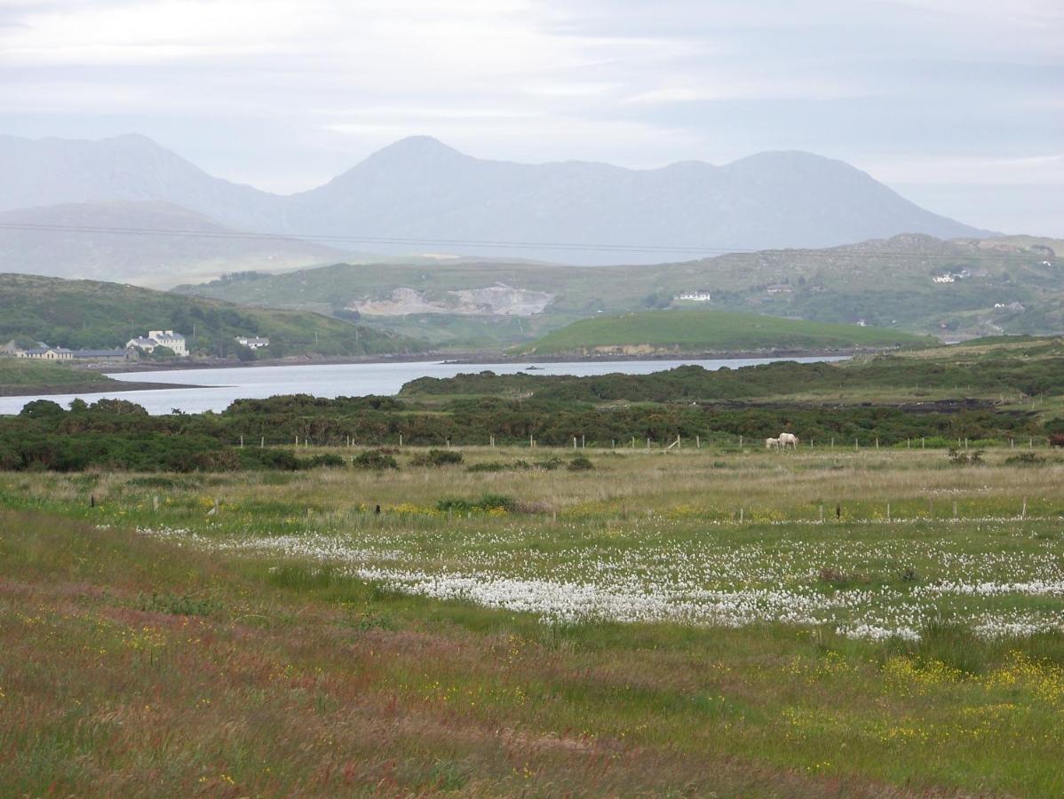 Ocean Villa Country Home Clifden Exteriér fotografie